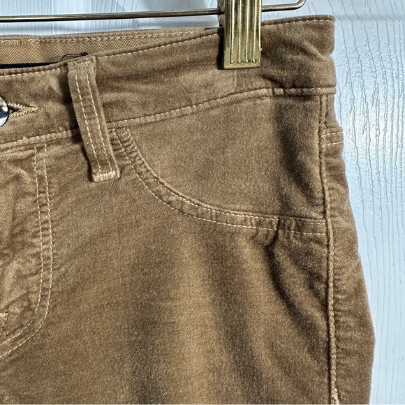 J Brand sz 24 velvet skinny pants, color "Vienna," stretchy, fall, autumn - Picture 5 of 10